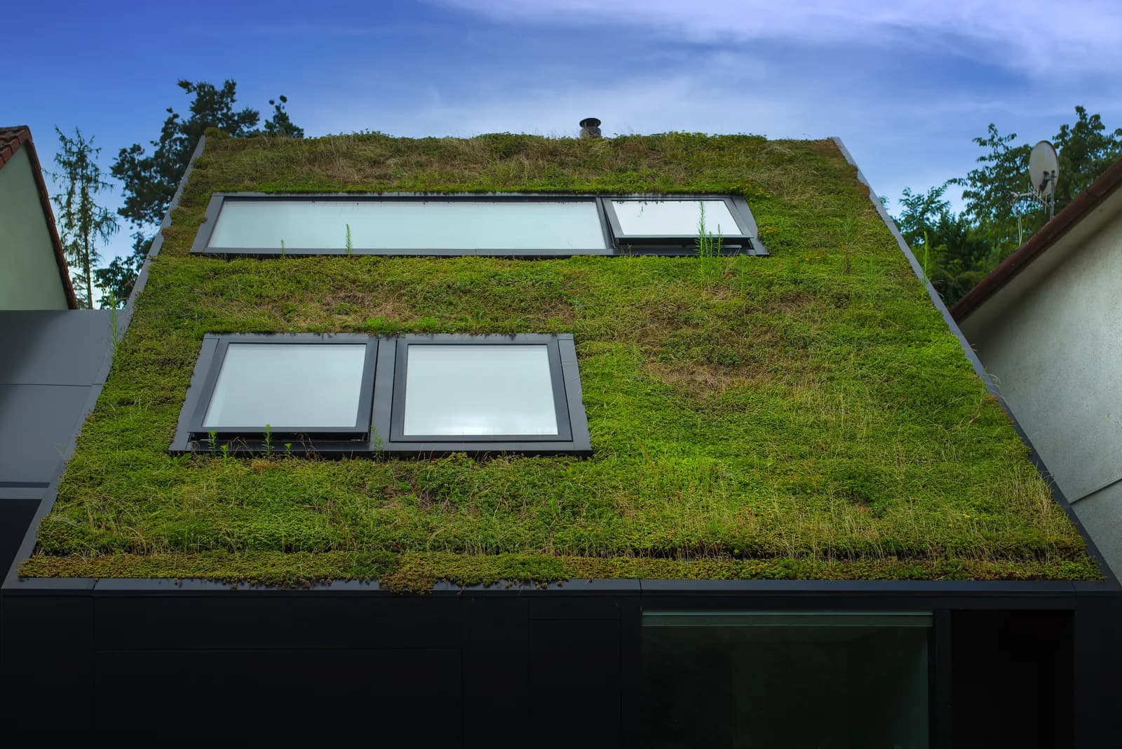 Toiture végétalisée moderne avec velux — projet typique à régulariser
